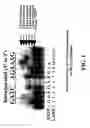 Fig. 02 - Enzymatic nucleic acid synthesis: methods for direct detection of tagged monomers