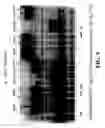 Fig. 10 - Enzymatic nucleic acid synthesis: methods for direct detection of tagged monomers