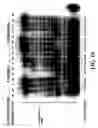 Fig. 11 - Enzymatic nucleic acid synthesis: methods for direct detection of tagged monomers