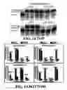 Fig. 15 - Enzymatic nucleic acid synthesis: methods for direct detection of tagged monomers