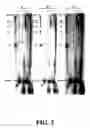 Fig. 04 - Enzymatic nucleic acid synthesis: compositions and methods