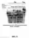Fig. 06 - Enzymatic nucleic acid synthesis: compositions and methods