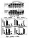Fig. 15 - Enzymatic nucleic acid synthesis: compositions and methods