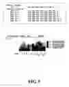 Fig. 08 - Compositions and methods for sequence determination