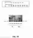 Fig. 13 - Composition for sequence determination