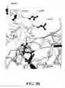 Fig. 05 - Sequence determination in confined regions