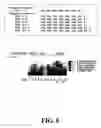 Fig. 08 - Sequence determination in confined regions