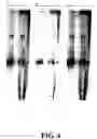 Fig. 09 - Sequence determination in confined regions