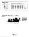 Fig. 08 - Methods for sequence determination using depolymerizing agent