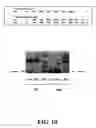 Fig. 13 - Methods for sequence determination