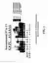 Fig. 02 - Enzymatic nucleic acid synthesis: methods for inhibiting pyrophosphorolysis during sequencing synthesis