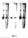 Fig. 03 - Enzymatic nucleic acid synthesis: methods for inhibiting pyrophosphorolysis during sequencing synthesis