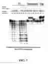 Fig. 08 - Enzymatic nucleic acid synthesis: methods for inhibiting pyrophosphorolysis during sequencing synthesis