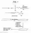 Fig. 02 - Method for attachment of silylated molecules to glass surfaces