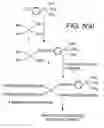 Fig. 04 - Method for attachment of silylated molecules to glass surfaces