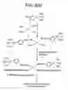 Fig. 05 - Method for attachment of silylated molecules to glass surfaces