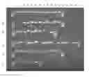 Fig. 01 - Compositions and Methods for Nucleic Acid Extraction from Biological Samples