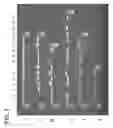 Fig. 02 - Compositions and Methods for Nucleic Acid Extraction from Biological Samples