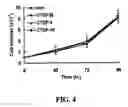 Fig. 05 - Methods and compositions for diagnosing and suppressing metastasis thereof