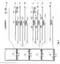 Fig. 06 - Method for detection of multiple test materials in a sample