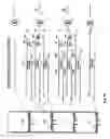 Fig. 09 - Method for detection of multiple test materials in a sample