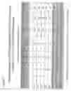 Fig. 10 - CD86 and CD80 receptor competition assays
