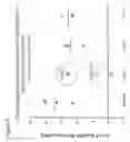 Fig. 11 - CD86 and CD80 receptor competition assays