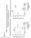 Fig. 15 - CD86 and CD80 receptor competition assays
