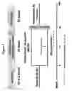 Fig. 02 - Methods and compositions for determining the efficacy of a treatment for ankylosing spondylitis using biomarkers