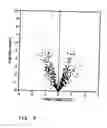 Fig. 09 - Diagnostic marker for cancer