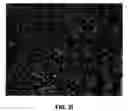 Fig. 07 - Biological sample processing composition and method