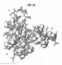 Fig. 04 - IMMUNOCONJUGATES AND HUMANIZED ANTIBODIES SPECIFIC FOR B-CELL LYMPHOMA AND LEUKEMIA CELLS