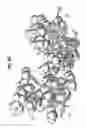 Fig. 05 - IMMUNOCONJUGATES AND HUMANIZED ANTIBODIES SPECIFIC FOR B-CELL LYMPHOMA AND LEUKEMIA CELLS