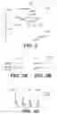 Fig. 03 - Immunogenic compositions comprising human immunodeficiency virus type 2 (HIV-2) glycosylated and unglycosylated envelope proteins and their methods of preparation