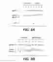 Fig. 06 - Immunogenic compositions comprising human immunodeficiency virus type 2 (HIV-2) glycosylated and unglycosylated envelope proteins and their methods of preparation