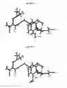 Fig. 01 - Cold-adapted (CA) reassortant influenza virus
