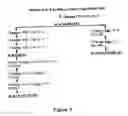 Fig. 02 - Cold-adapted (CA) reassortant influenza virus
