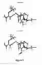 Fig. 03 - Cold-adapted (CA) reassortant influenza virus