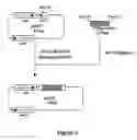 Fig. 04 - L-Glutamic Acid-Producing Microorganism and a Method for Producing L-Glutamic Acid