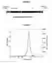 Fig. 04 - Purified active HCV NS2/3 protease