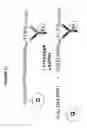 Fig. 10 - Purified active HCV NS2/3 protease