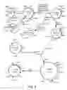 Fig. 03 - Recombinant cells that highly express chromosomally-integrated heterologous genes