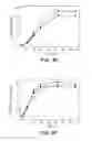 Fig. 06 - Recombinant cells that highly express chromosomally-integrated heterologous genes