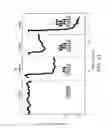 Fig. 12 - Fabrication and packaging of suspended microchannel detectors