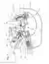 Fig. 02 - Apparatus for producing tissue arrays