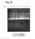 Fig. 09 - Bioreactor