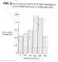 Fig. 14 - Lineage specific cells and progenitor cells