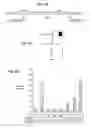 Fig. 13 - Methods and compositions for expanding T regulatory cells
