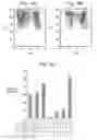 Fig. 20 - Methods and compositions for expanding T regulatory cells