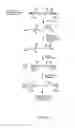 Fig. 12 - Retroviral vectors expressing exogenous gene or exogenous nucleic acid sequences